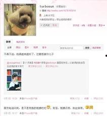 媒体娱乐爆料有哪些类型,五大热门类型深度解析  第1张