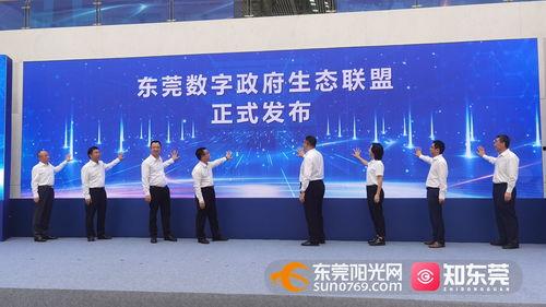 东莞东坑今日爆料新闻视频,突发事件引发关注  第3张