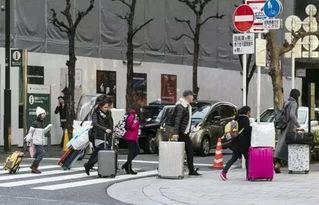 韩国游客爆料视频播放,揭秘神秘旅游胜地背后的真实景象  第3张